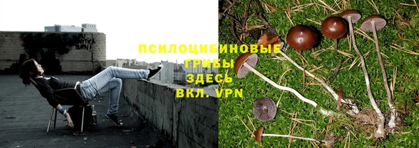 а пвп мука Арсеньев